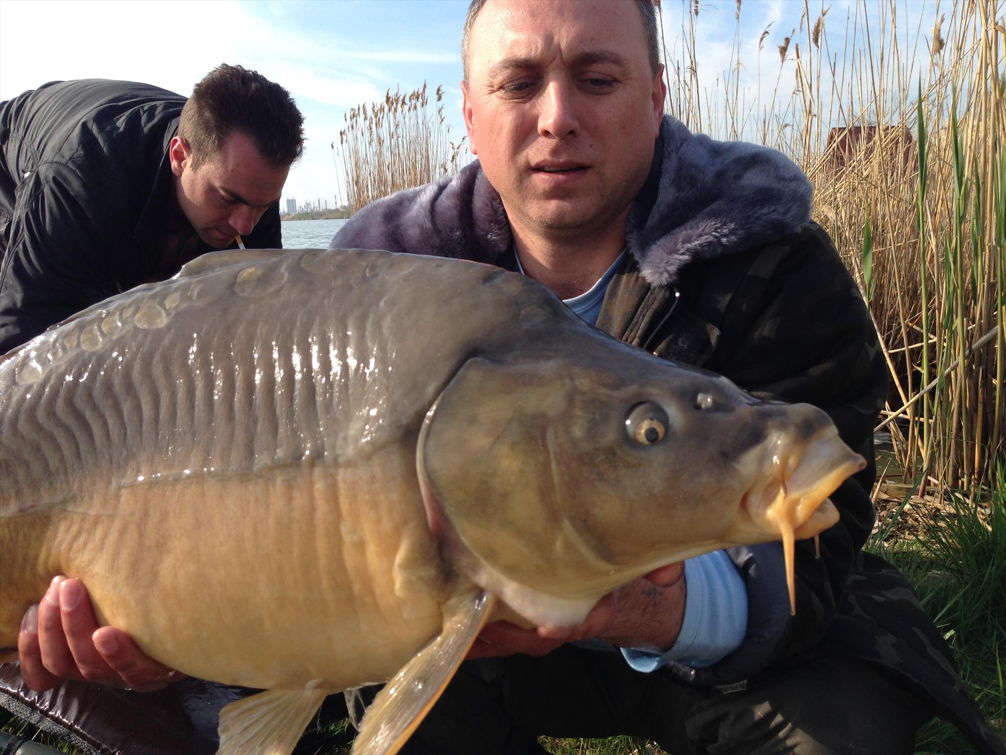 corbu 2015 - img2916.JPG